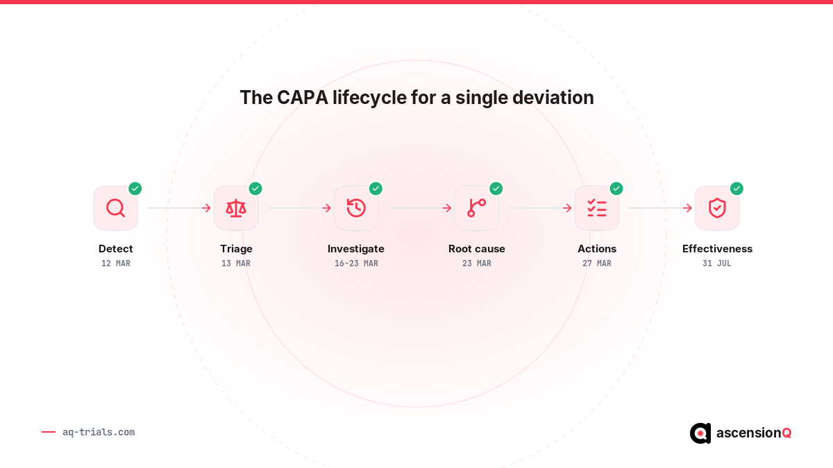 The working stages of a CAPA for a single clinical trial deviation: detect, triage, investigate, root cause, actions and effectiveness check, with the dates from the worked example