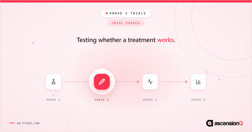 What is a Phase 2 clinical trial?