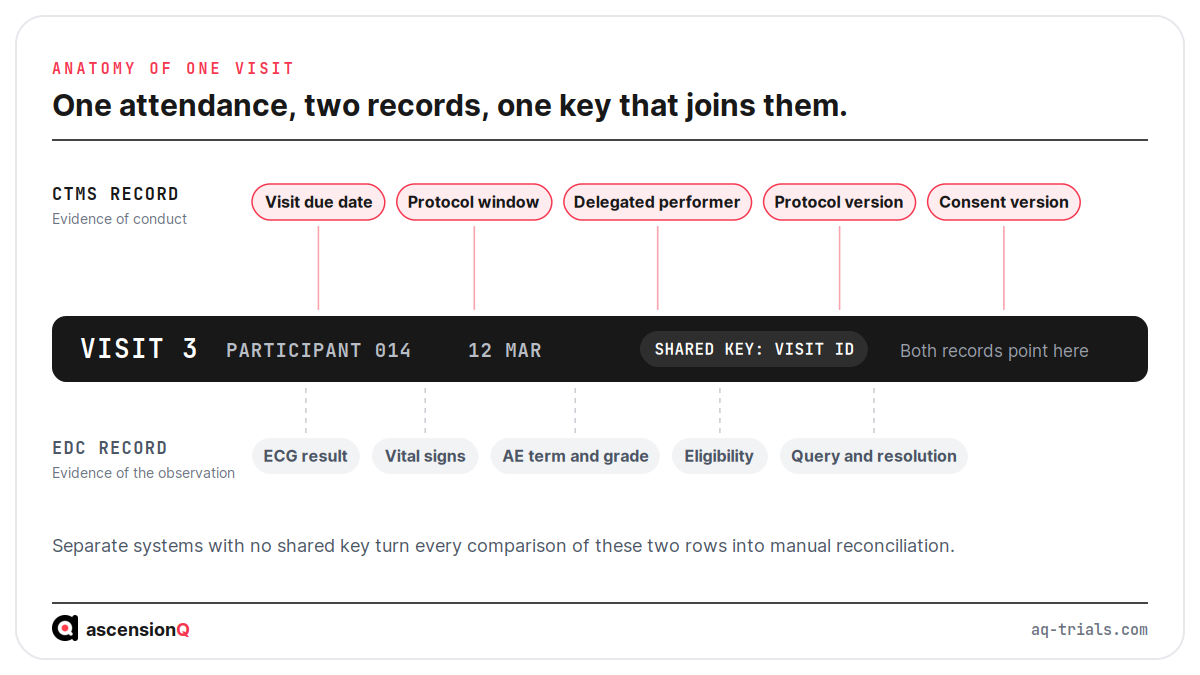 Anatomy of a single participant visit showing which fields land in the CTMS record, which land in the EDC record, and the shared visit ID that joins the two