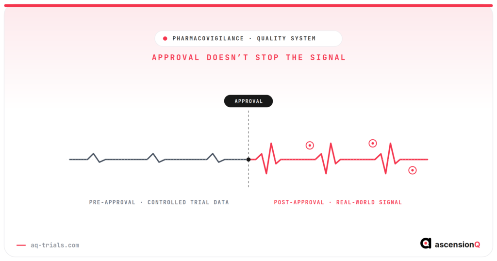 Pulse signal showing pharmacovigilance monitoring continuing past drug approval into louder real-world adverse event detection, rather than stopping