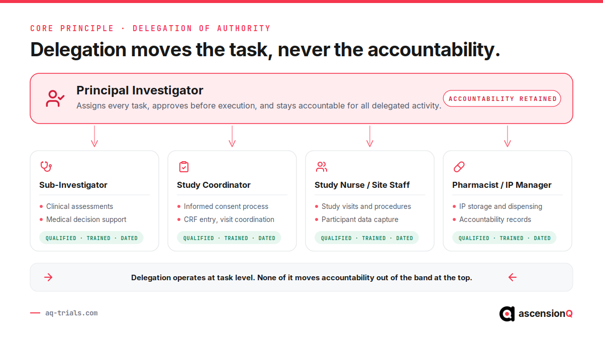 Diagram showing the Principal Investigator retaining accountability while study tasks are delegated to sub-investigator, study coordinator, study nurse and pharmacist roles
